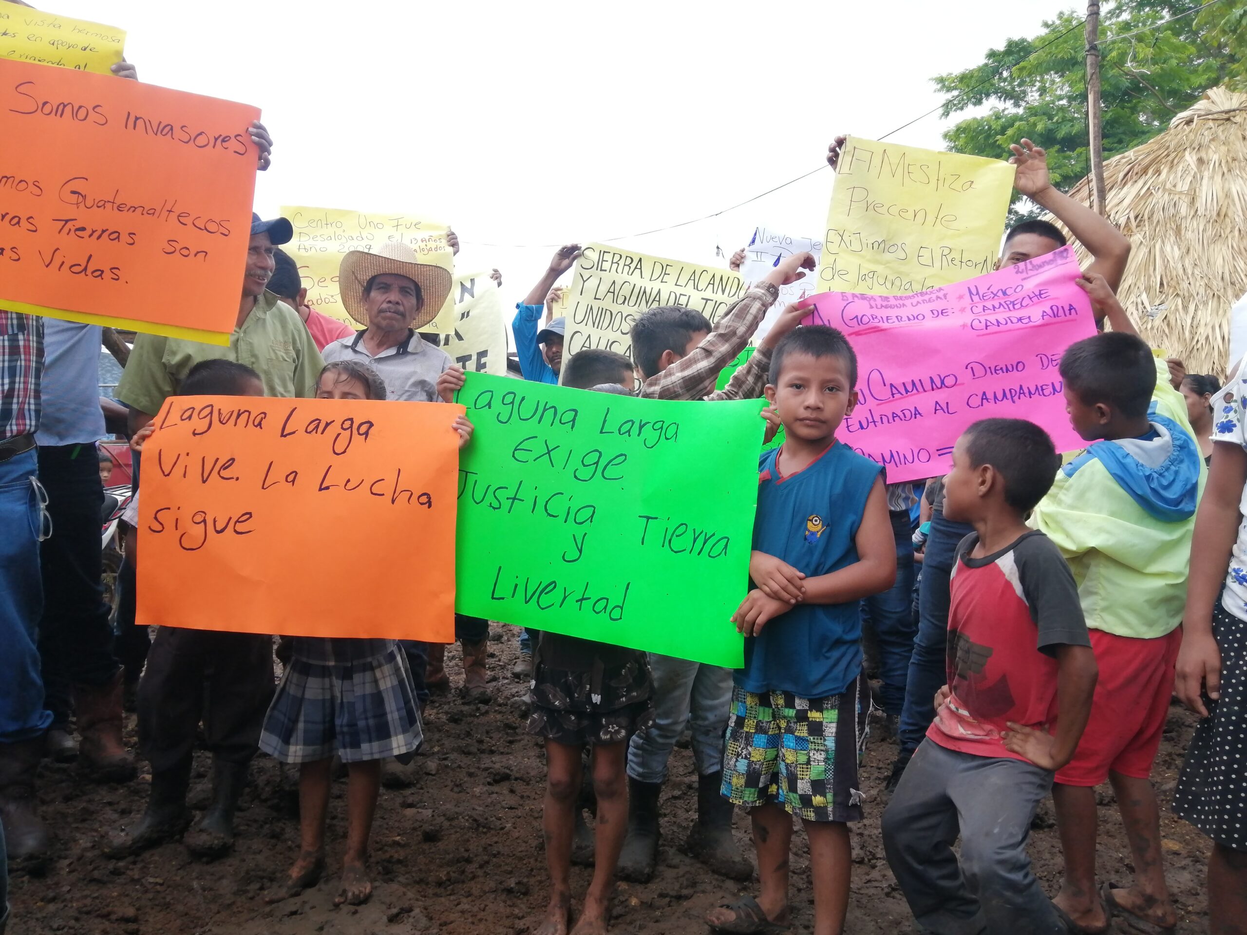 Educación de La Laguna distribuye 1.300 kits antipiojos en los